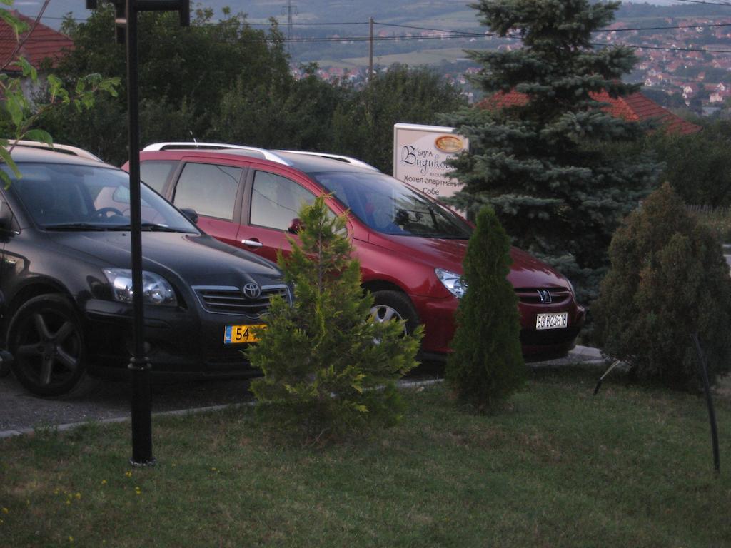 B&B Vila Vidikovac Arandjelovac Exterior photo